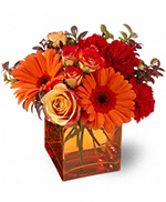 Teleflora's Sunrise Sunset